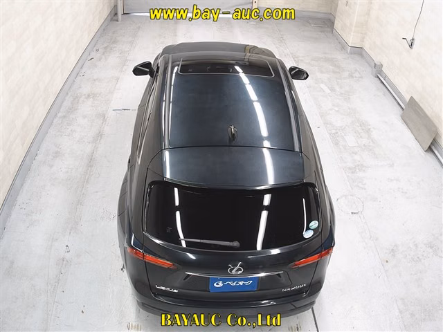 LEXUS NX300