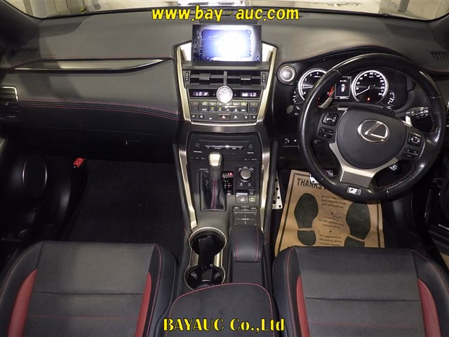 LEXUS NX300