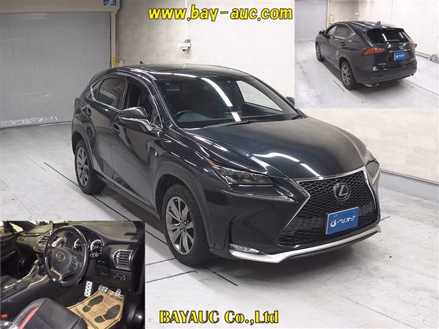 LEXUS NX300