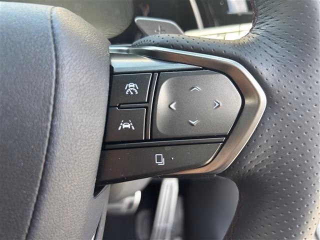 LEXUS RX500H