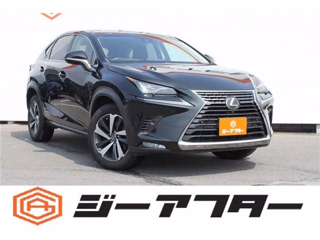 LEXUS NX300