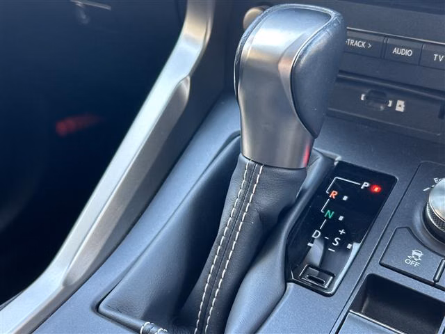 LEXUS NX300