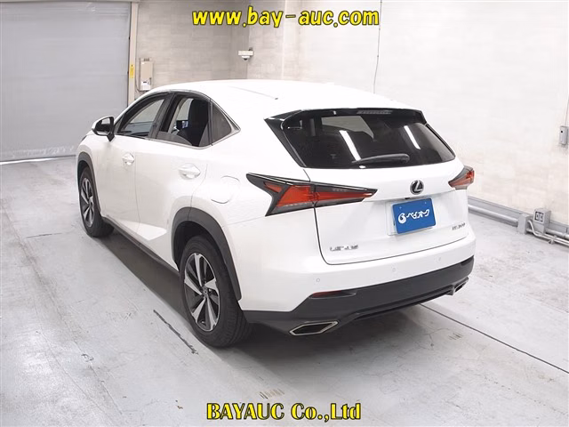 LEXUS NX300