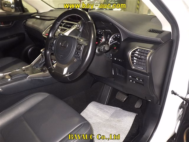 LEXUS NX300