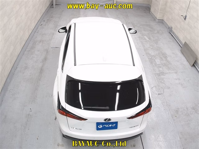LEXUS NX300