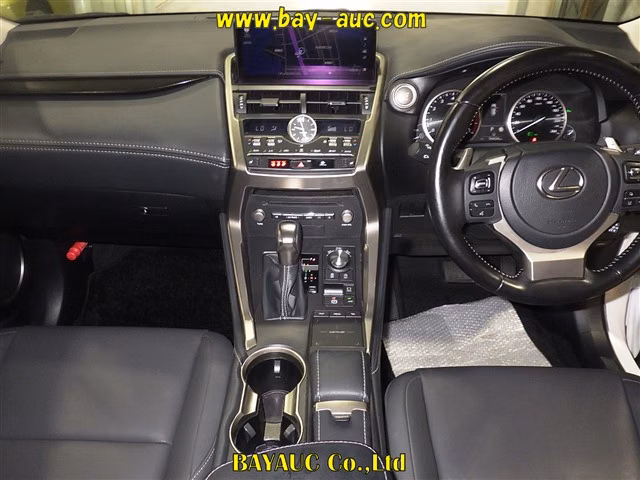 LEXUS NX300