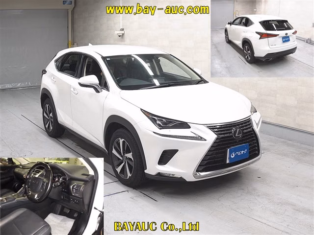 LEXUS NX300