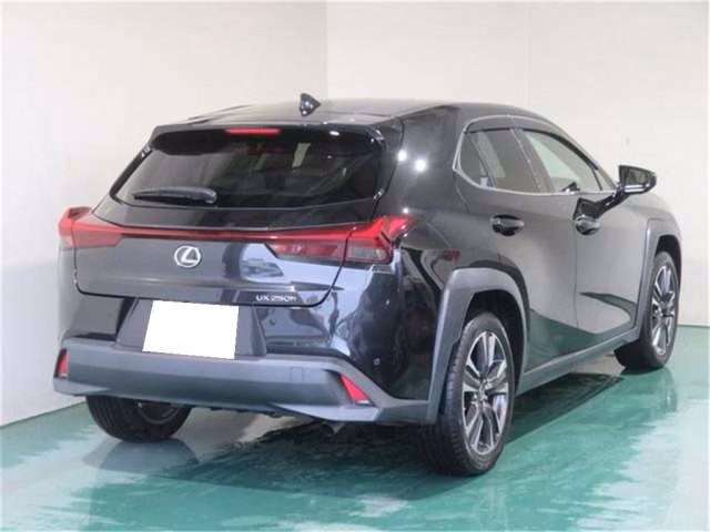 LEXUS UX250H