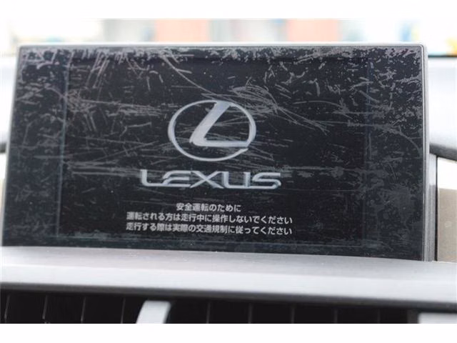 LEXUS NX300