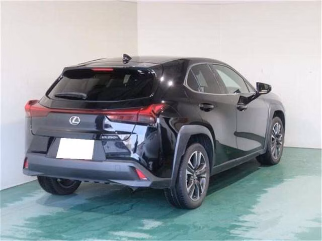 LEXUS UX250H