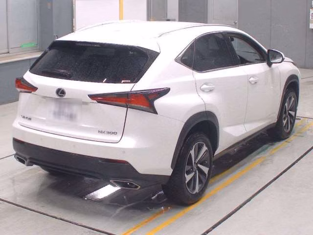 LEXUS NX300
