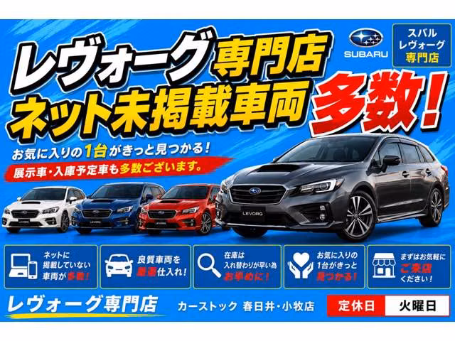 SUBARU LEVORG
