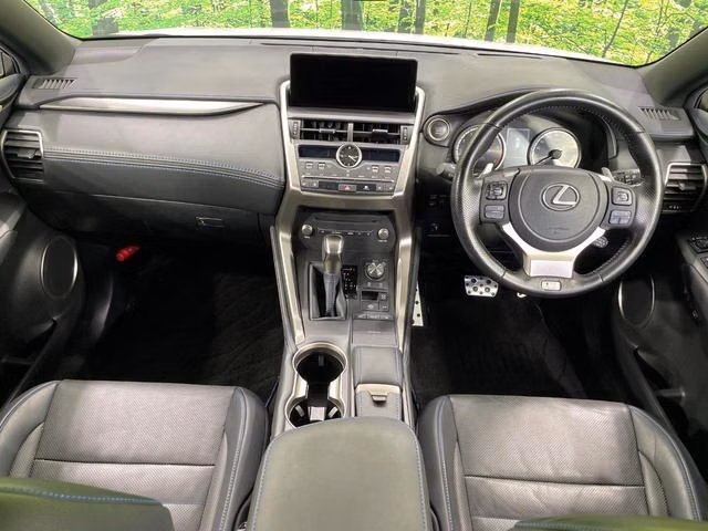 LEXUS NX300