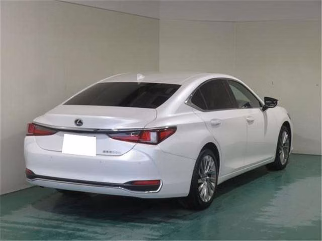 LEXUS ES300H