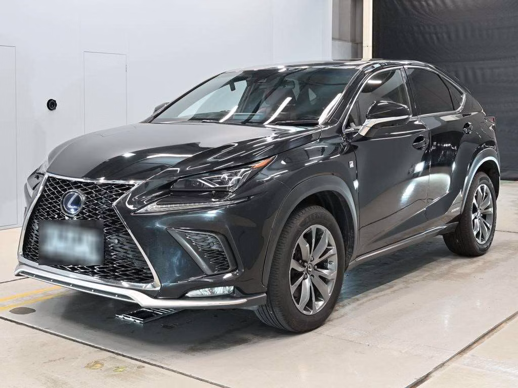 LEXUS NX300