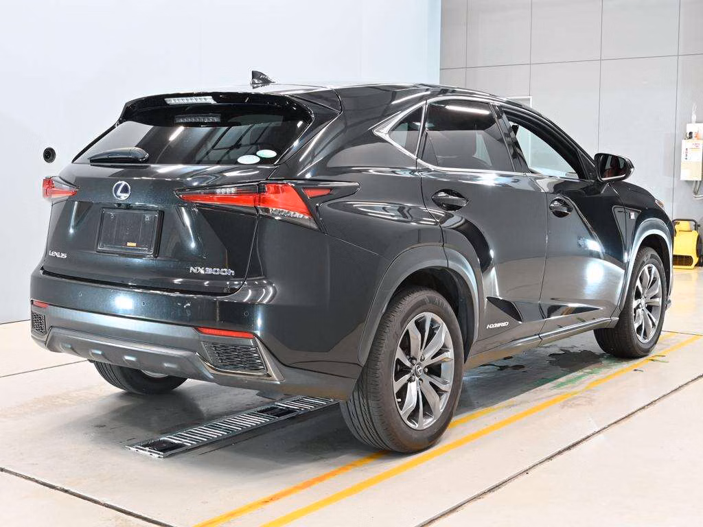 LEXUS NX300