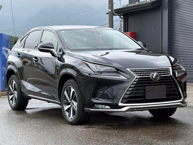 LEXUS NX300