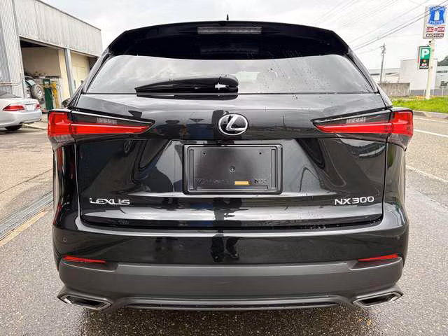 LEXUS NX300