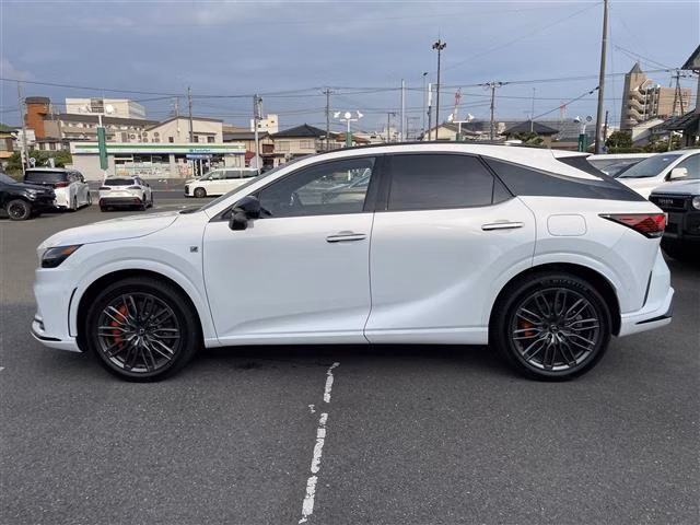 LEXUS RX500H