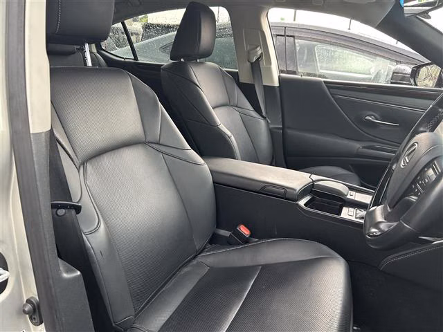 LEXUS ES300H