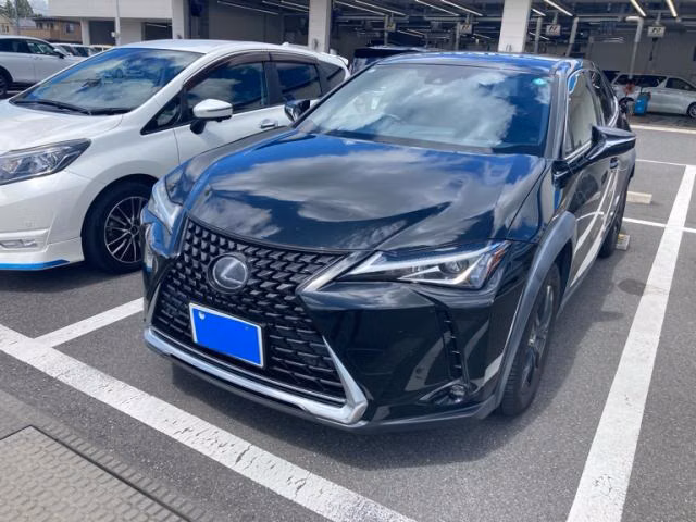 LEXUS UX250H