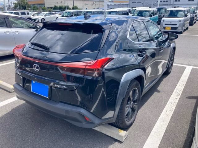 Lexus UX250h