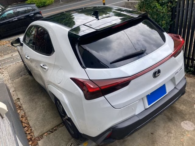 Lexus UX250h