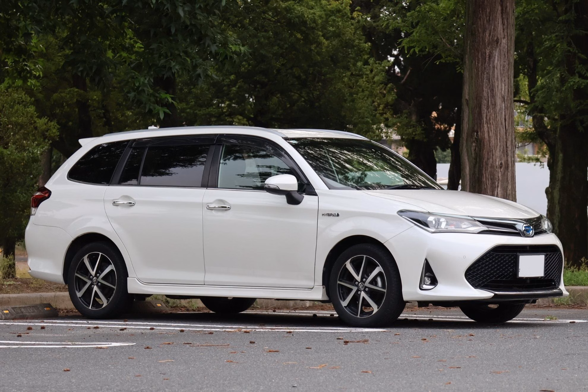 Toyota Corolla Fielder