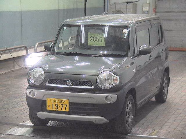 SUZUKI HUSTLER