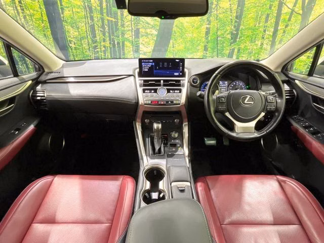 LEXUS NX300H