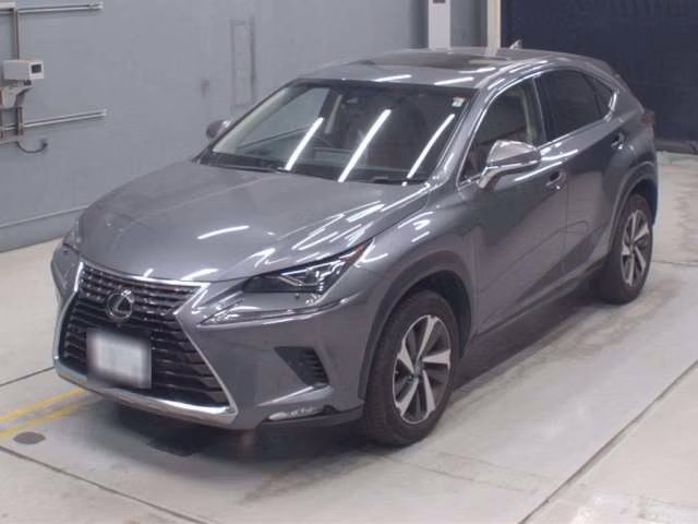 LEXUS NX300