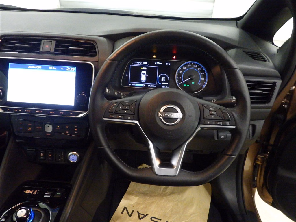 NISSAN LEAF