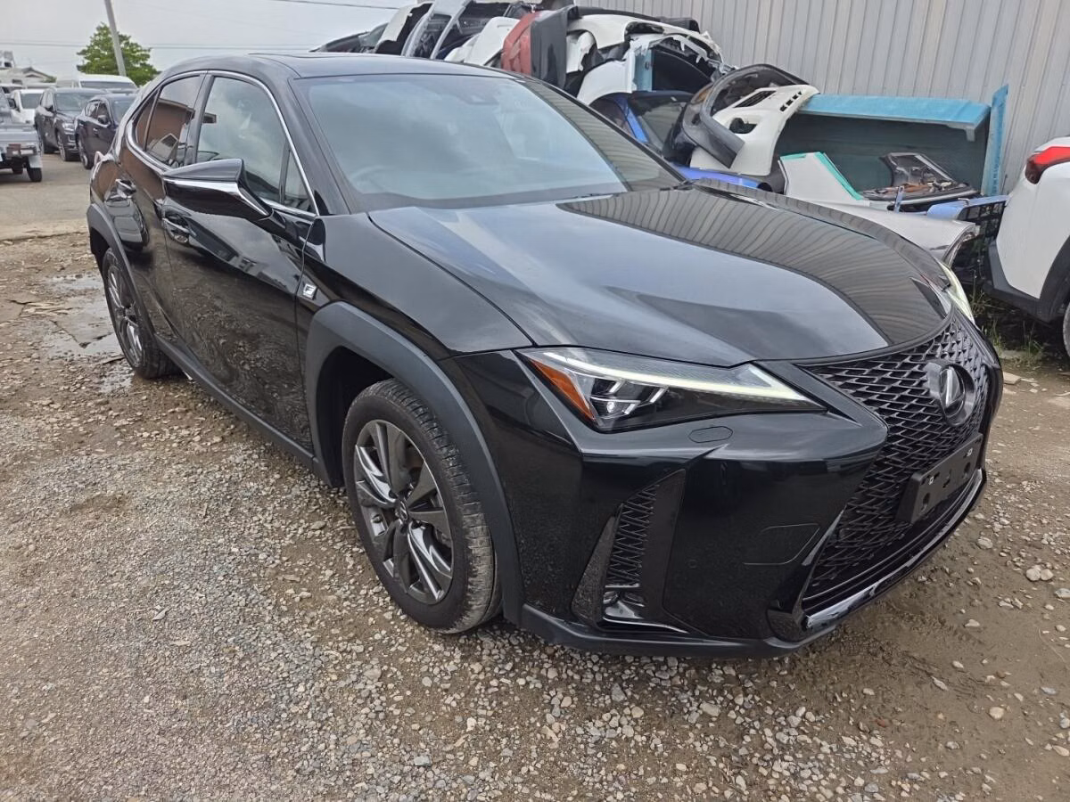 Lexus UX250h