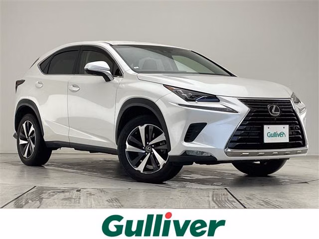 LEXUS NX300