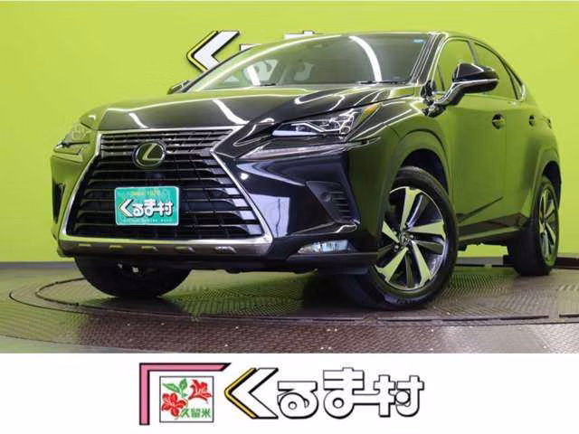 LEXUS NX300
