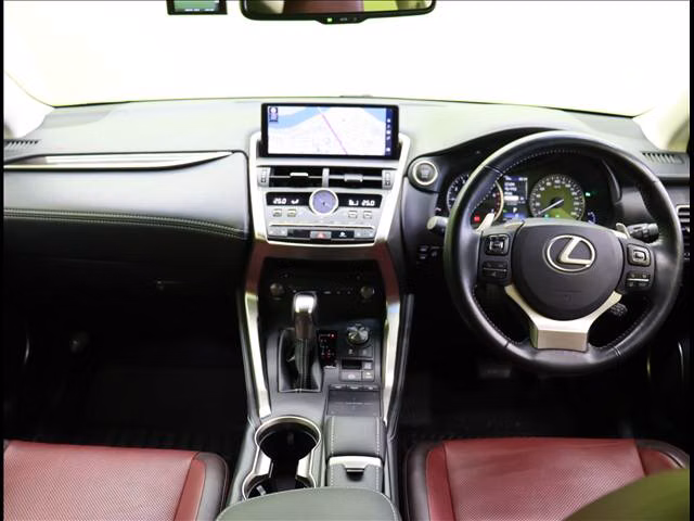 LEXUS NX300