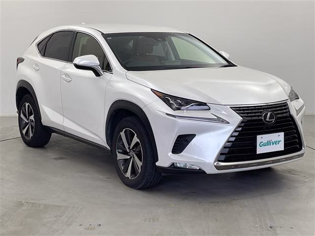 LEXUS NX300