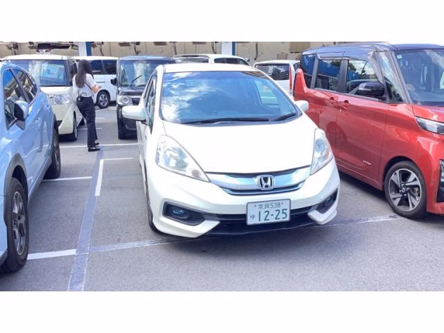 HONDA FIT SHUTTLE
