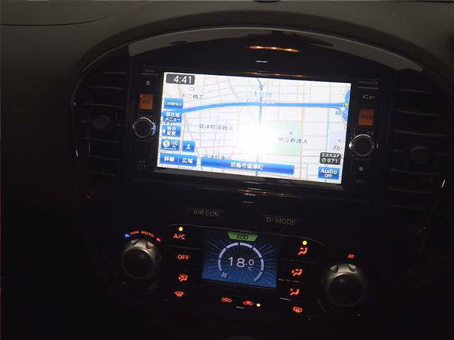 NISSAN JUKE