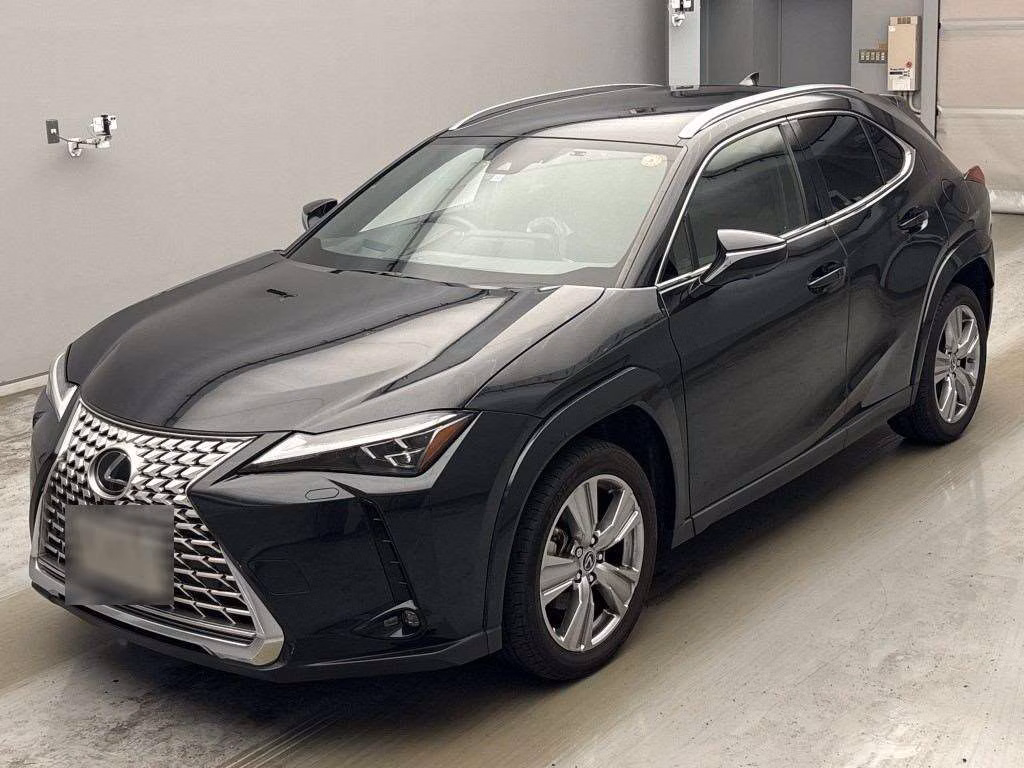 LEXUS UX250H