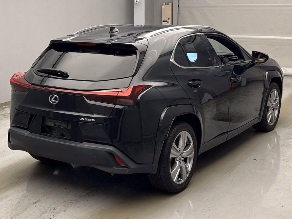 LEXUS UX250H