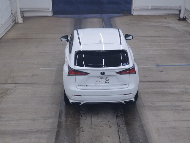LEXUS NX300