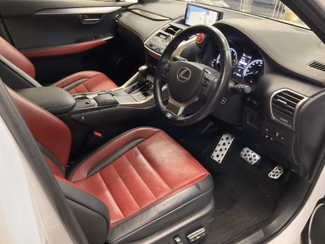 LEXUS NX300