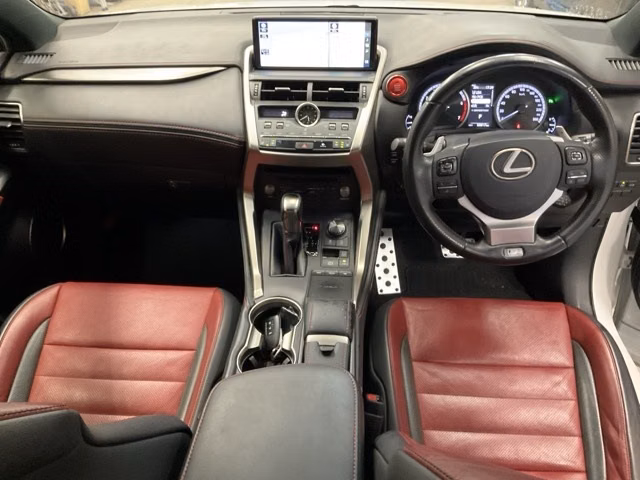 LEXUS NX300