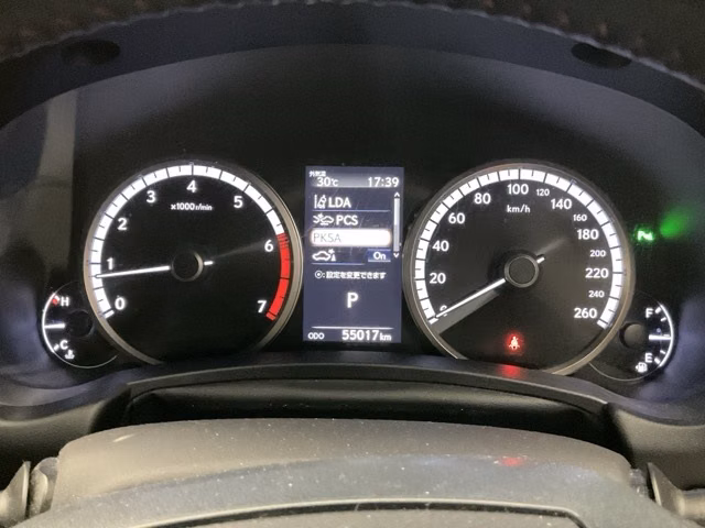 LEXUS NX300