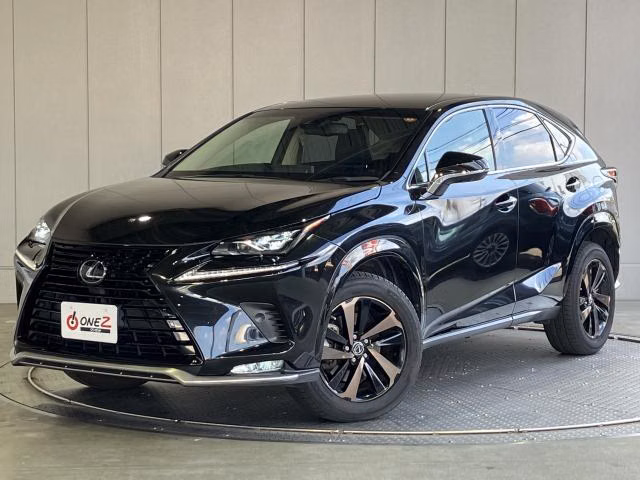 LEXUS NX300