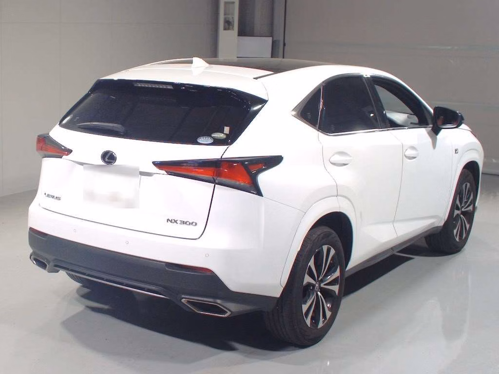 LEXUS NX300