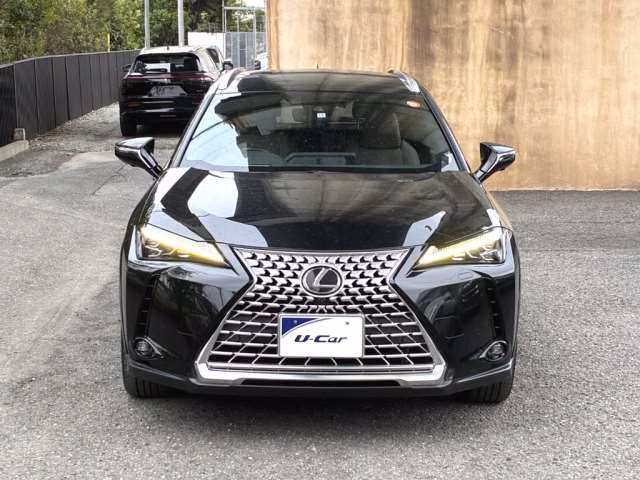 LEXUS UX250H
