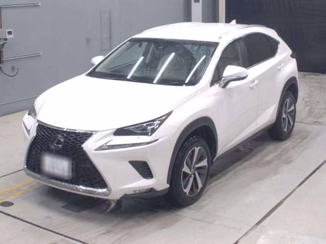 LEXUS NX300
