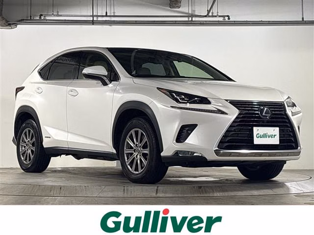 LEXUS NX300